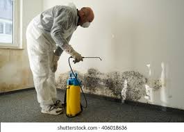 Why You Should Choose Our Mold Remediation Services in Kent Acres, DE